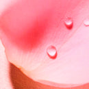 Nuxe Very Rose Agua Voluptuosa Perfumada 100 ml